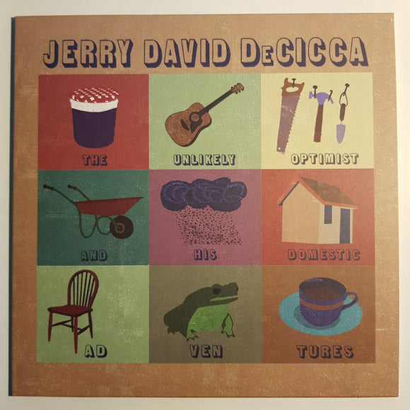 Jerry David DeCicca - The Unlikely Optimist And His Domestic Adventures LP