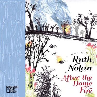 Ruth Nolan - After The Dome Fire Book