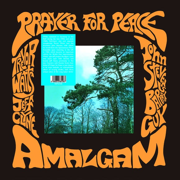 Amalgam - Prayer For Peace LP