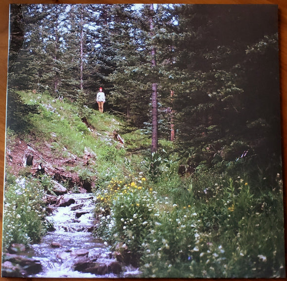 David Lord - Forest Standards Vol. 3 LP