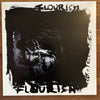 Sarah Mary Chadwick - Flourish 2xLP w/80pg Book (Pre-Order)