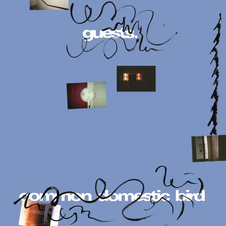 Products Tagged "Guests" Grapefruit Records Products Tagged "Guests" Grapefruit Records