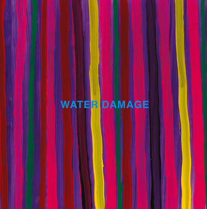 Water Damage - 2 Songs LP