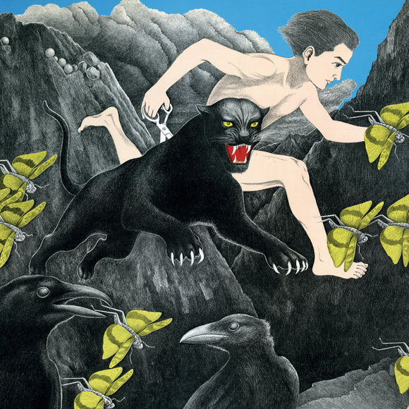 Kazuki Tomokawa - A String Of Cranes Clenched Between My Teeth LP