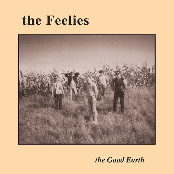 The Feelies - The Good Earth LP