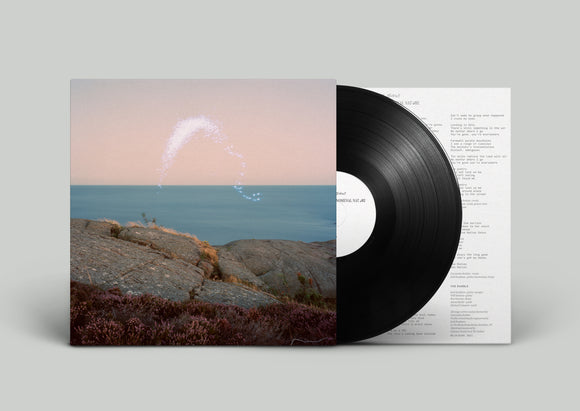 Cassandra Jenkins - An Overview On Phenomenal Nature LP (Black Vinyl, 5th Pressing)
