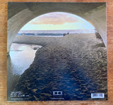 John Davis & Dennis Callaci - Arches & Pathways LP (w/Deluxe Option!)