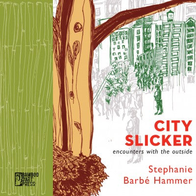 Stephanie Barbé Hammer - City Slicker Book