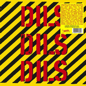 The Dils - Dils Dils Dils LP