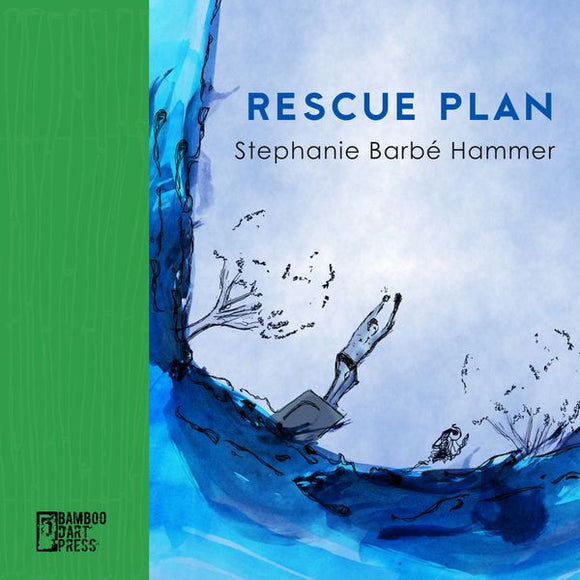 Stephanie Barbé Hammer - Rescue Plan Book