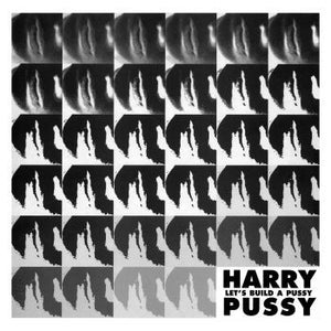 Harry Pussy - Let's Build A Pussy 2xLP