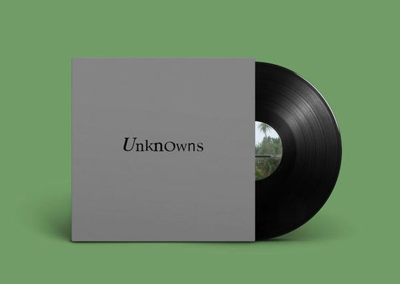 Dead C - Unknowns LP